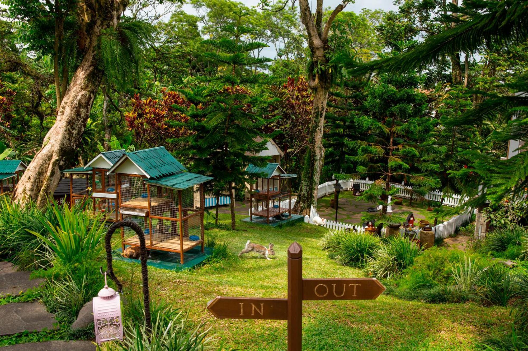Novus Giri Resort & Spa Puncak Exteriör bild