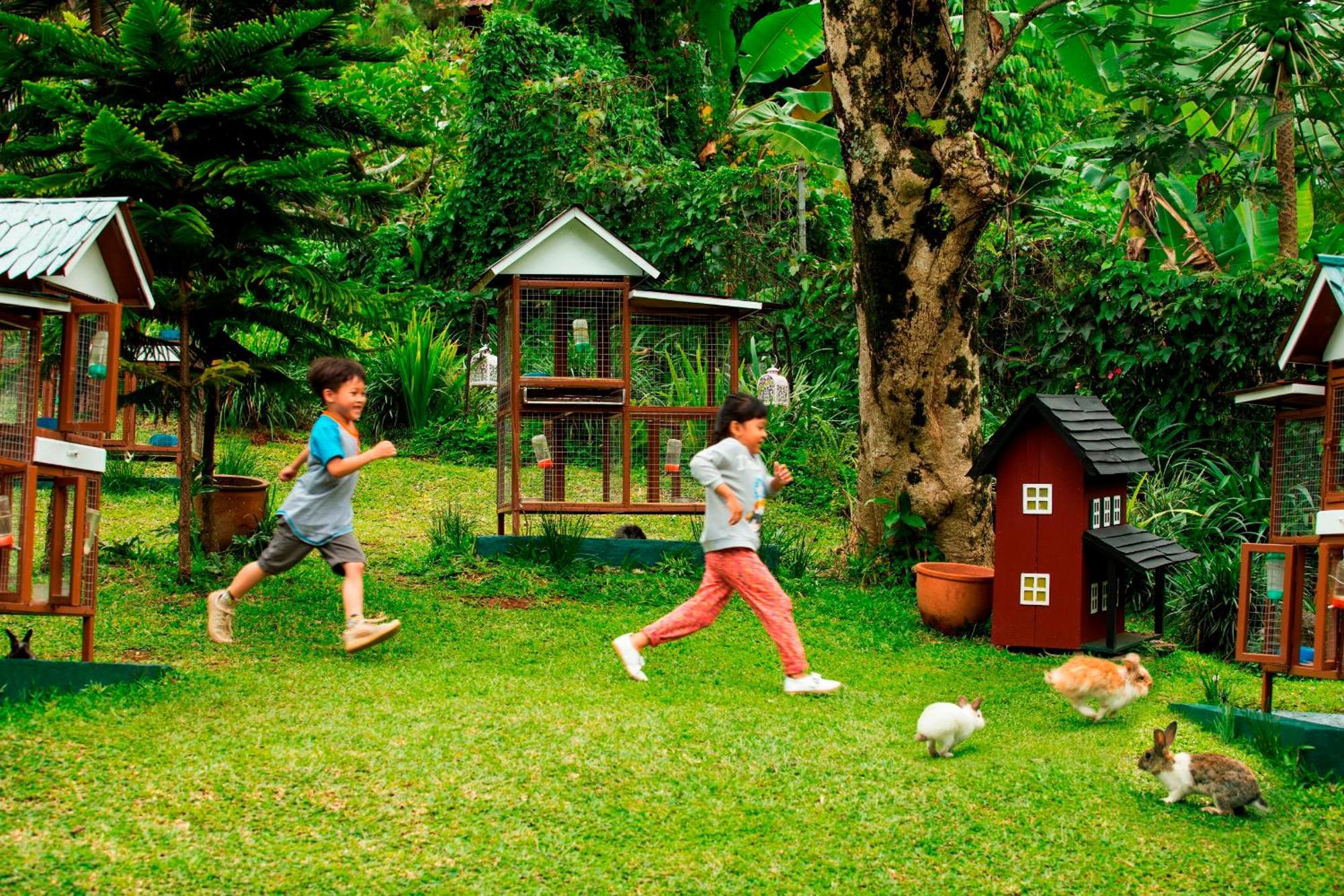Novus Giri Resort & Spa Puncak Exteriör bild